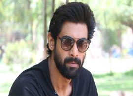 కొత్త పెళ్లికొడుకు రానా దగ్గుబాటి బాలీవుడ్ మూవీకి గ్రీన్ సిగ్నల్