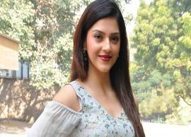 తన లైఫ్ సీక్రెట్స్ బయట పెట్టిన మెహ్రీన్