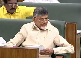 స్పీకర్ వైపు చంద్రబాబు వేలెత్తి చూపించడంపై సభలో దుమారం...