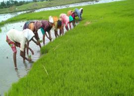 ఆంధ్రప్రదేశ్ రైతులకు జగన్ ప్రభుత్వం శుభవార్త