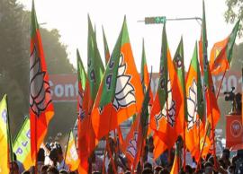 గ్రేటర్‌ హైదరాబాద్ మున్సిపల్ ఎన్నికలకు బీజేపీ 21 మంది అభ్యర్థుల జాబితా ప్రకటన