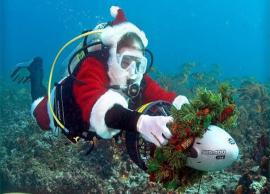 సముద్ర జీవులతో శాంటా క్లాజ్ క్రిస్మస్ వేడుక....