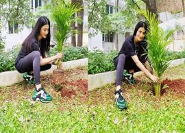 గ్రీన్ ఇండియా ఛాలెంజ్‌లో పాల్గొన్న శృతిహాసన్