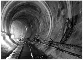 నేరస్థుడు అయిన కొడుకును జైలు నుంచి తప్పించేందుకు తల్లి చేసిన సాహసం తెలిస్తే షాక్ అవ్వాల్సిందే