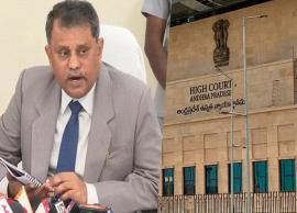 స్థానిక సంస్థల ఎన్నికలపై కీలక వ్యాఖ్యలు చేసిన ఏపీ హైకోర్ట్