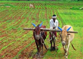 కేంద్రం గుడ్ న్యూస్... నేరుగా బ్యాంక్ ఖాతాలోకే ఈ డబ్బులు వస్తాయి... ఎలానో తెలుసా...?