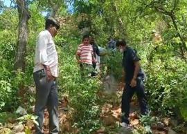 అడవిలో కలెక్టర్‌ కాలినడక