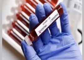 ఏపీలో కొత్తగా కరోనా కేసులు ఎన్నంటే !