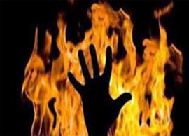 క‌నిక‌రం లేకుండా నాన‌మ్మ‌ను చంపేసిన మ‌నవ‌డు