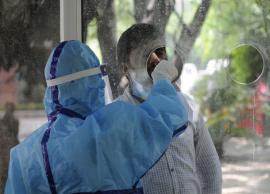 రాజమండ్రి సెంట్రల్ జైలులో కరోనా కలకలం ..265 మందికి కరోనా పాజిటివ్