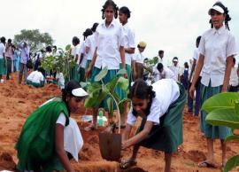 తెలంగాణలో ఆరవ విడత హరితహారం