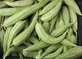 బీరకాయతో బోలెడు లాభాలు