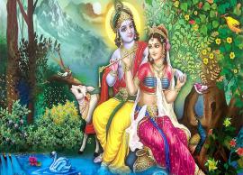 శ్రీమహావిష్ణువు అవతారమే శ్రీకృష్ణుడు