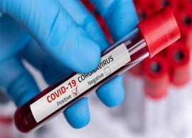 బుధవారం రోజున మహారాష్ట్రలో 2250 కరోనా పాజిటివ్ కేసులు