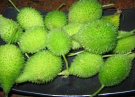 ధర ఎక్కువ అయినా కూడా ఈ కాయగూరల్లో ఉన్న అద్భుత ప్రయోజనాలు తెలిస్తే అస్సలు వదలరు