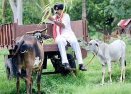 వర్మ పవర్ స్టార్ సినిమా నుంచి తొలి పాట నేడే విడుదల .