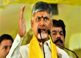 21న తేదీన రాష్ట్ర వ్యాప్తంగా నిరసనలకు చంద్రబాబు పిలుపునిచ్చారు