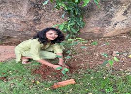 గ్రీన్ ఇండియా ఛాలెంజ్ లో  బిగ్ బాస్ షో ఫేమ్ తేజస్వీ