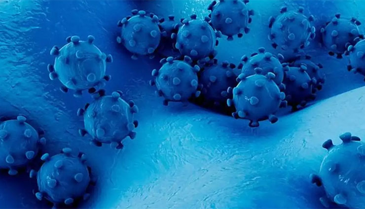 ఆంద్ర ప్రదేశ్ లో ఒక్క రోజులో 31 మంది మృతి