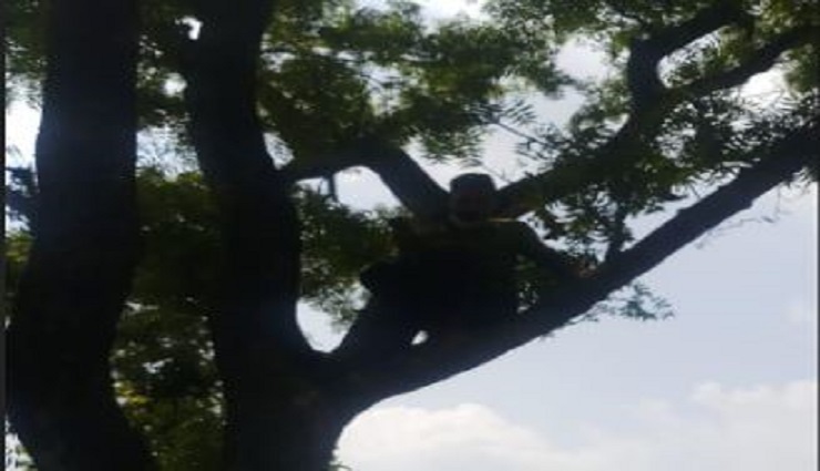 actor sonu sood,real hero once again,corona epidemic,corona epidemic in the country,morni village in haryana,small child had to use a mobile for online classes,sonu sood via twitter