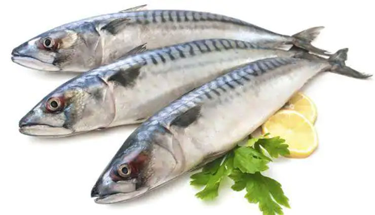 fish,healthy,benefits,eating,omega ,చేపల, తింటే, ఆరోగ్యానికి, కలిగే మేలు, జీర్ణమవుతాయి